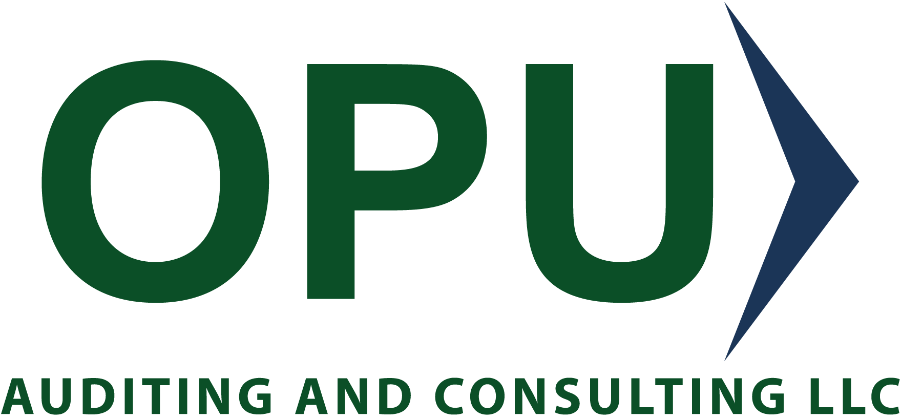 Auditing And Consulting LLC